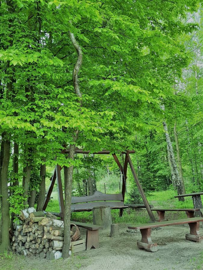 Agroturystyka "Pod Lysica" Swieta Katarzyna  Buitenkant foto